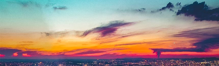 长兴茶虫网_长兴品茶